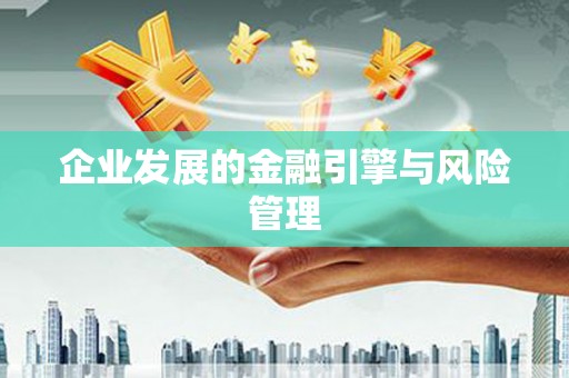 中方企业发展的金融引擎与风险管理
