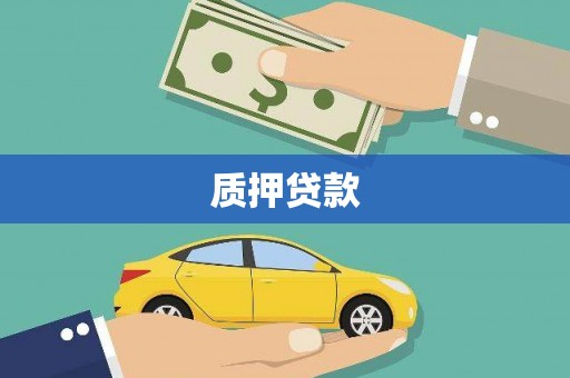 西华质押贷款