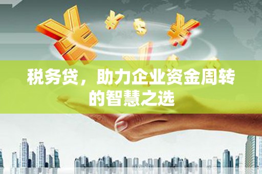 嘉兴税务贷，助力企业资金周转的智慧之选