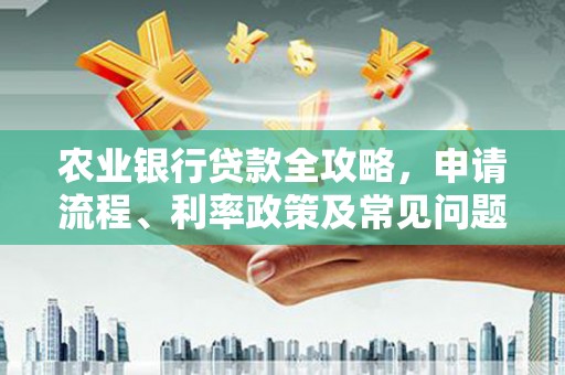澜沧农业银行贷款全攻略，申请流程、利率政策及常见问题解析