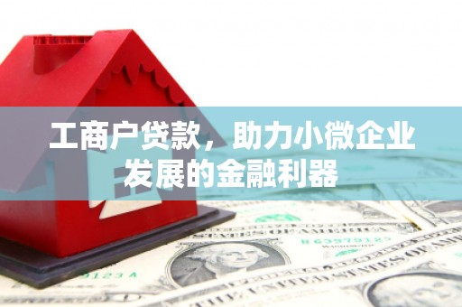 江南工商户贷款，助力小微企业发展的金融利器