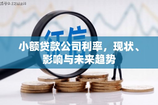 兴宾小额贷款公司利率，现状、影响与未来趋势