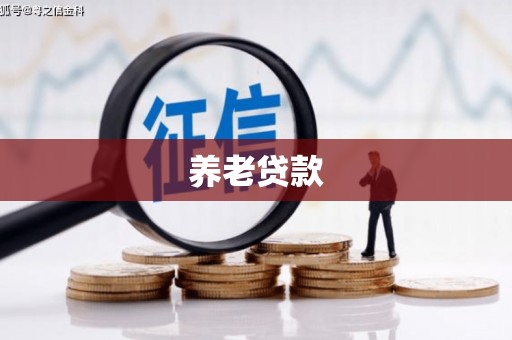 正阳养老贷款