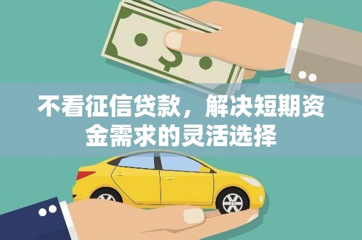 凤城不看征信贷款，解决短期资金需求的灵活选择