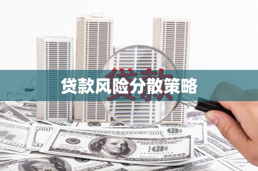 成县贷款风险分散策略
