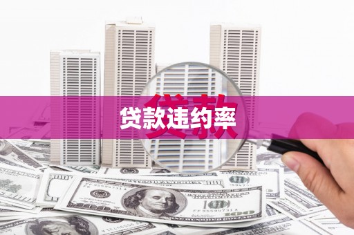 鹤庆贷款违约率