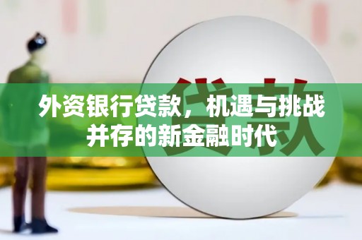 雨花外资银行贷款，机遇与挑战并存的新金融时代