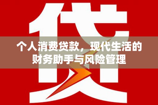 文昌个人消费贷款，现代生活的财务助手与风险管理