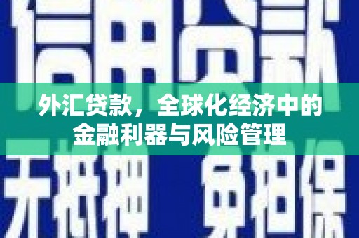 锡林浩特外汇贷款，全球化经济中的金融利器与风险管理