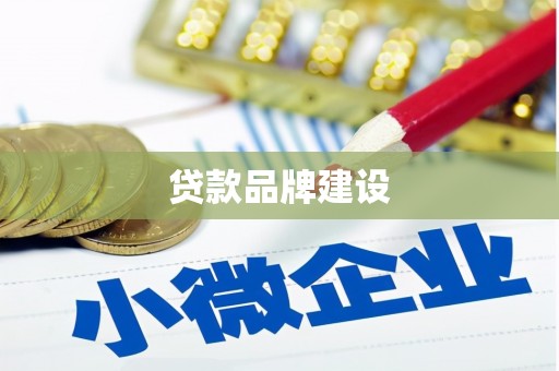 温宿贷款品牌建设