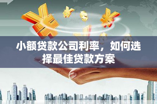 邢台小额贷款公司利率，如何选择最佳贷款方案