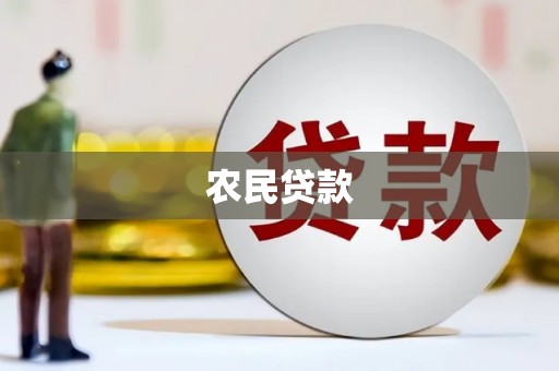 特克斯农民贷款