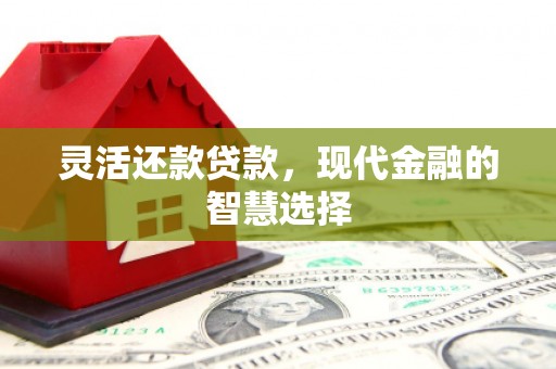 永靖灵活还款贷款，现代金融的智慧选择
