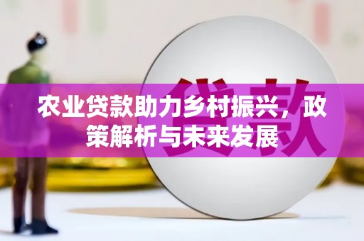 桃江农业贷款助力乡村振兴，政策解析与未来发展