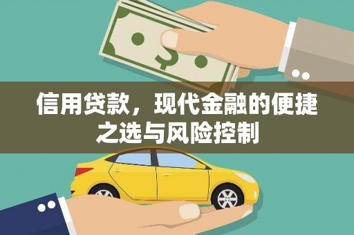 那曲信用贷款，现代金融的便捷之选与风险控制