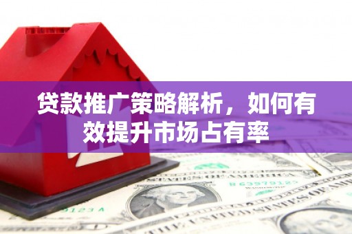 通霄贷款推广策略解析，如何有效提升市场占有率