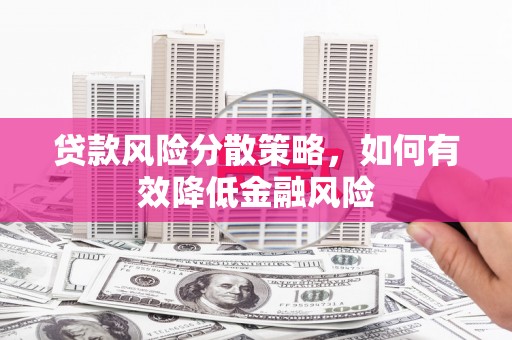 天元贷款风险分散策略，如何有效降低金融风险