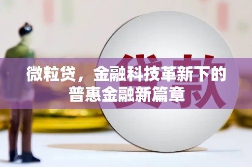 河津微粒贷，金融科技革新下的普惠金融新篇章