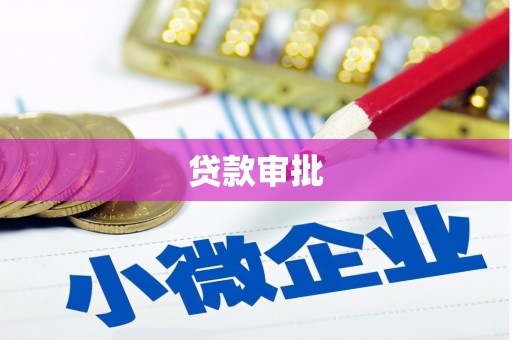 小金贷款审批