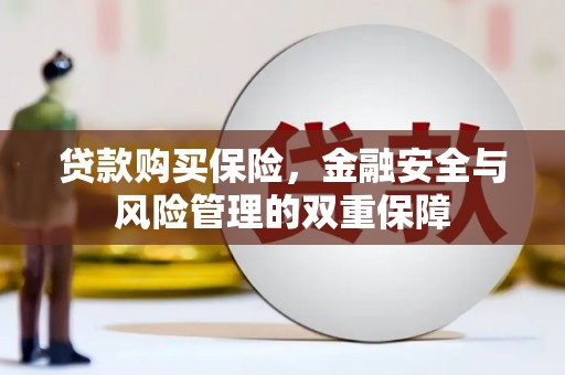 新都贷款购买保险，金融安全与风险管理的双重保障