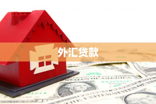 丰台外汇贷款