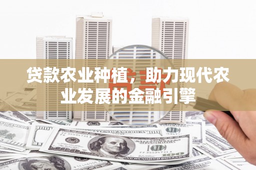 圣方济各堂区贷款农业种植，助力现代农业发展的金融引擎