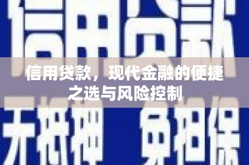 新河信用贷款，现代金融的便捷之选与风险控制