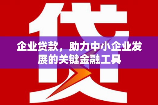 沙坡头企业贷款，助力中小企业发展的关键金融工具