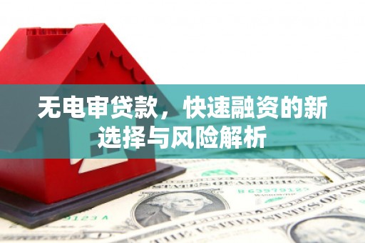 罗东无电审贷款，快速融资的新选择与风险解析