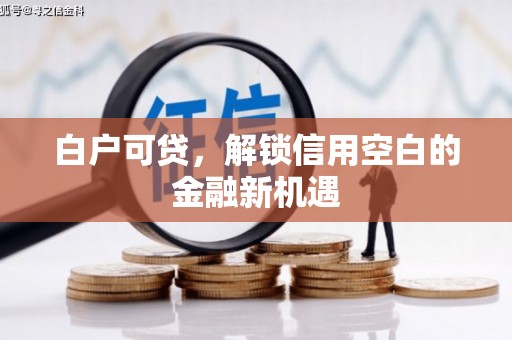 昔阳白户可贷，解锁信用空白的金融新机遇