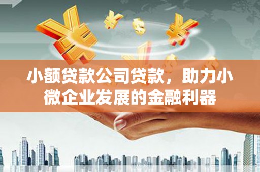 西华小额贷款公司贷款，助力小微企业发展的金融利器