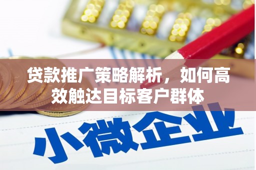 双桥贷款推广策略解析，如何高效触达目标客户群体