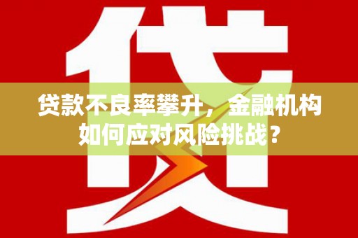 红安贷款不良率攀升，金融机构如何应对风险挑战？