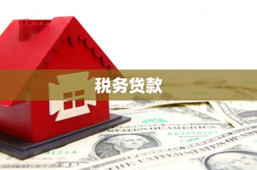 颍州税务贷款