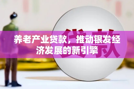 石狮养老产业贷款，推动银发经济发展的新引擎