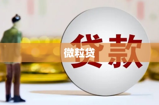 酒泉微粒贷