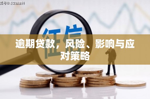 灌南逾期贷款，风险、影响与应对策略