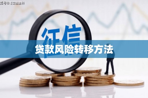 越西贷款风险转移方法