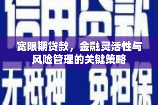 沾益宽限期贷款，金融灵活性与风险管理的关键策略