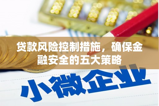 广南贷款风险控制措施，确保金融安全的五大策略
