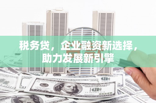 伊犁税务贷，企业融资新选择，助力发展新引擎