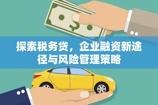乌恰探索税务贷，企业融资新途径与风险管理策略