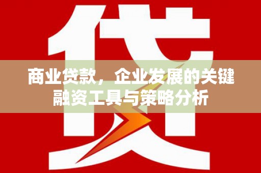 梓潼商业贷款，企业发展的关键融资工具与策略分析