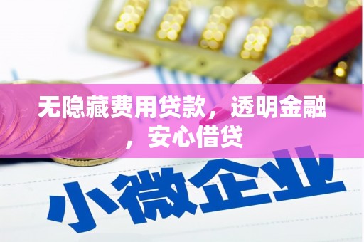 楠西无隐藏费用贷款，透明金融，安心借贷
