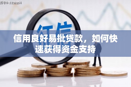 枣庄信用良好易批贷款，如何快速获得资金支持
