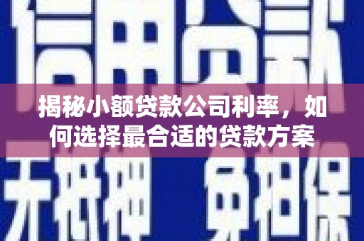 明溪揭秘小额贷款公司利率，如何选择最合适的贷款方案