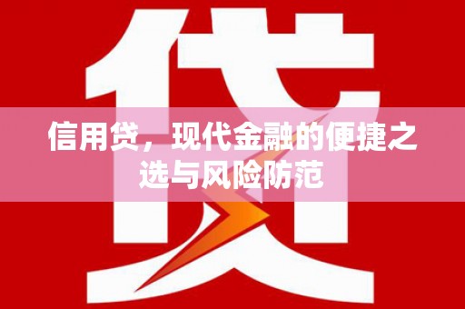 康县信用贷，现代金融的便捷之选与风险防范