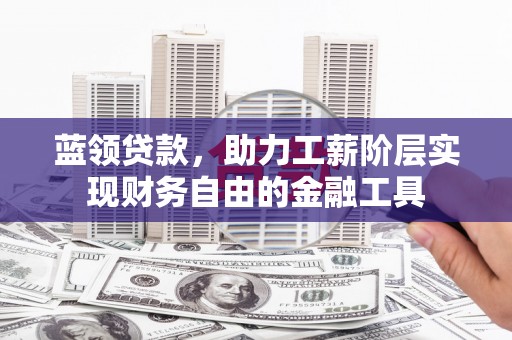 龙沙蓝领贷款，助力工薪阶层实现财务自由的金融工具