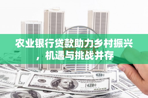 泰武农业银行贷款助力乡村振兴，机遇与挑战并存