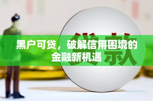 高埗黑户可贷，破解信用困境的金融新机遇